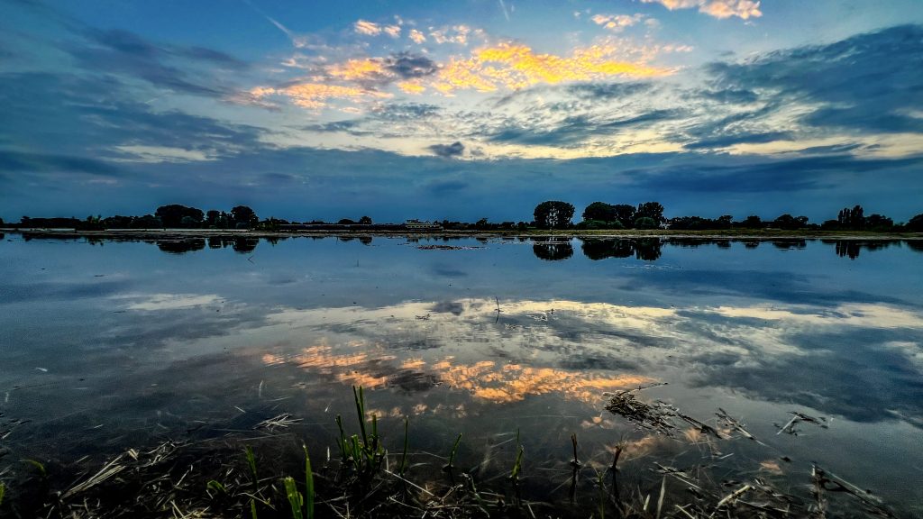 Motiv, Bild, Fotografie, Stadtteil Kaiserswerth Düsseldorf am Rhein, Rheinhochwasser vor Sonnenuntergang