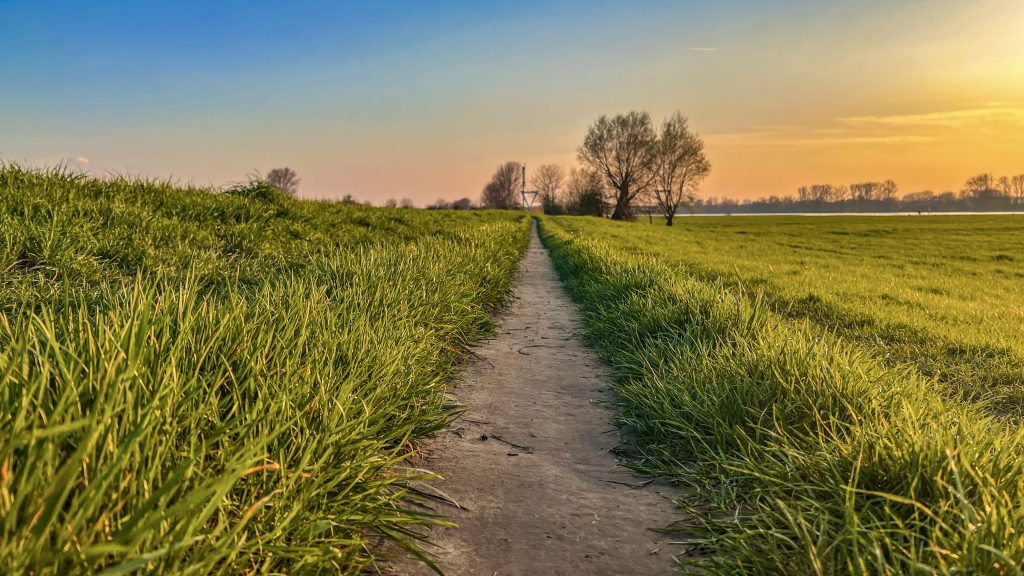 Motiv, Bild, Fotografie, Stadtteil Kaiserswerth Düsseldorf am Rhein, Rheinwiesen am Abend