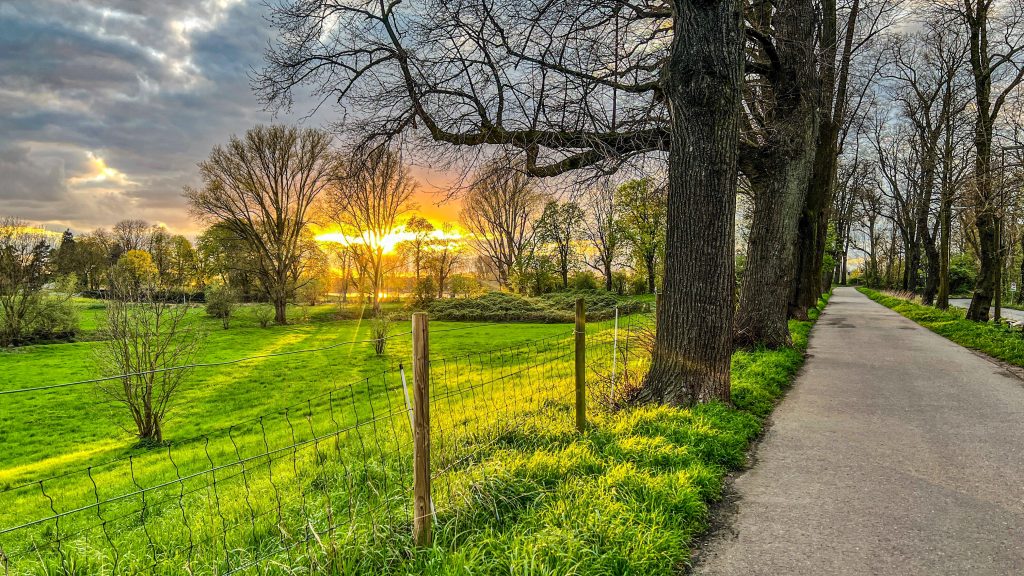 Motiv, Bild, Fotografie, Stadtteil Kaiserswerth Düsseldorf am Rhein, An St. Swidbert bei Sonnenuntergang