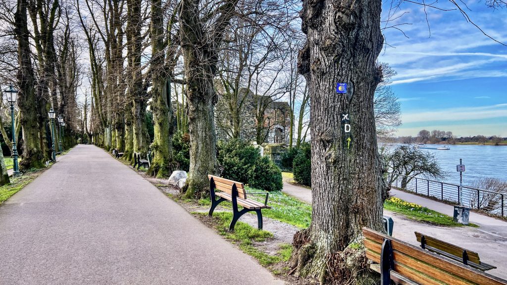 Motiv, Bild, Fotografie, Stadtteil Kaiserswerth Düsseldorf am Rhein, Kaiserpfalz am Tag