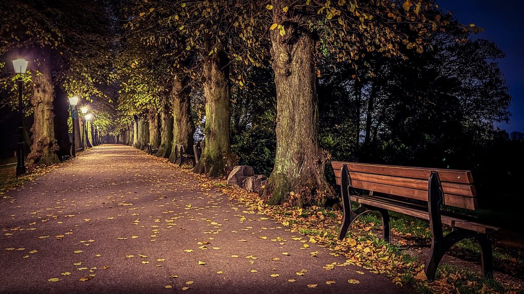 Motiv, Bild, Fotografie, Stadtteil Kaiserswerth Düsseldorf am Rhein, Burgallee in der Nacht