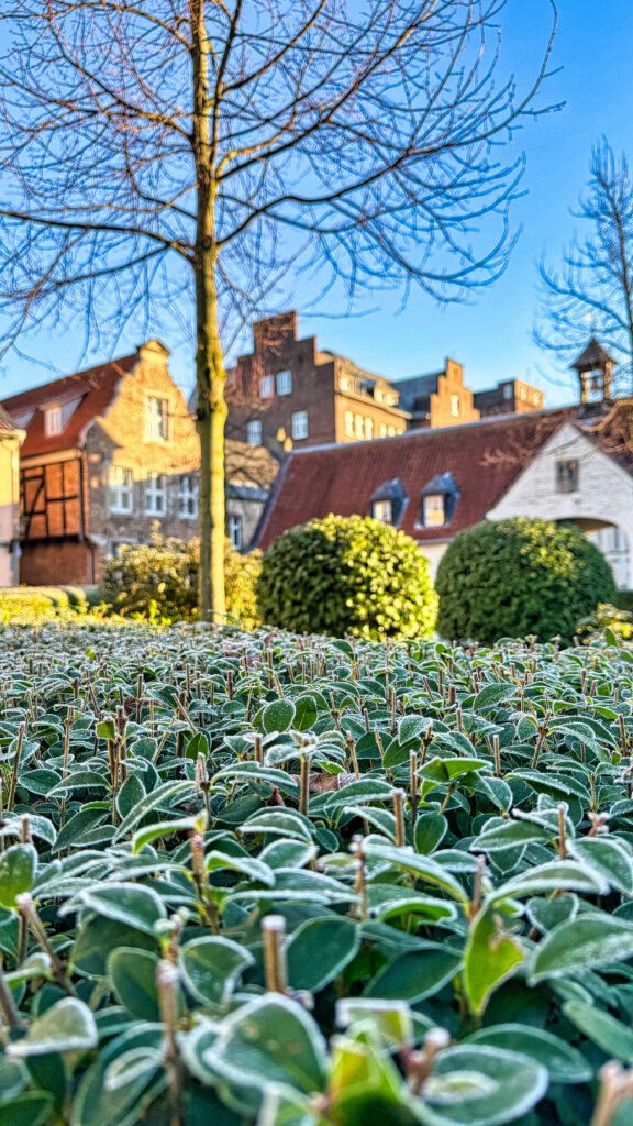 Motiv, Bild, Foto, Fotografie, Stadtteil Kaiserswerth Düsseldorf am Rhein, Suitbertus-Stiftsplatz bei Frost