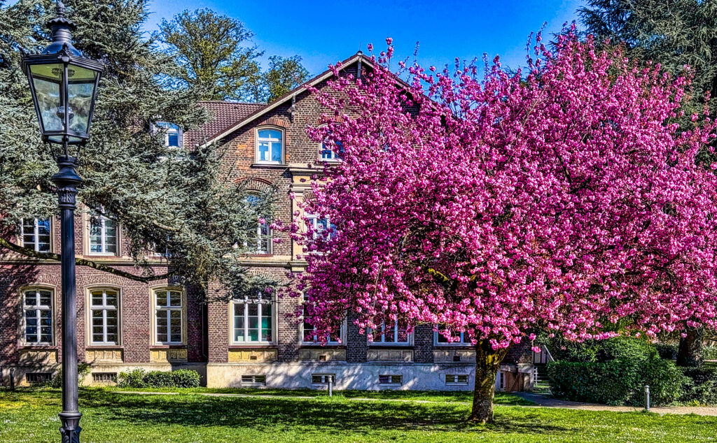 Schulungszentrum DiakoniegelÀnde Schulungszentrum auf dem DiakoniegelÀnde in Kaiserswerth