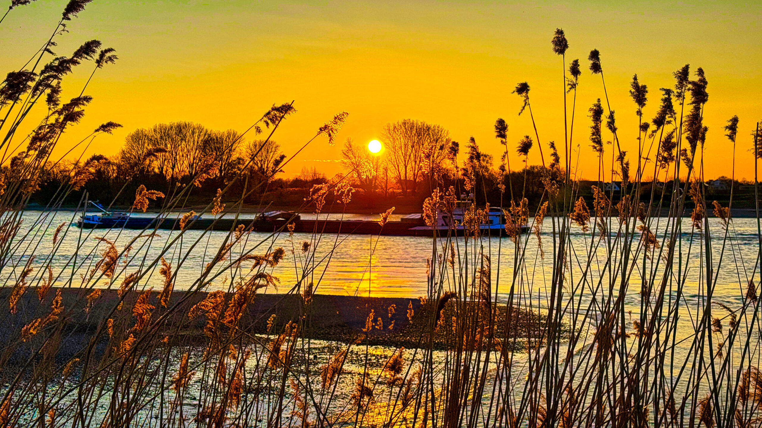 Sonnenuntergang am Rhein nÀhe FÀhranleger Sonnenuntergang am Rhein in der NÀhe des FÀhranlegers