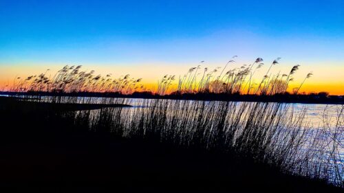 Veröffentlicht bei: Mein Kaiserswerth