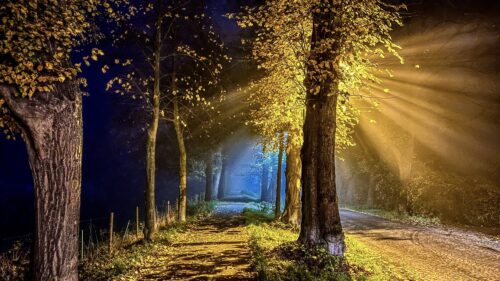 Veröffentlicht bei: Mein Kaiserswerth