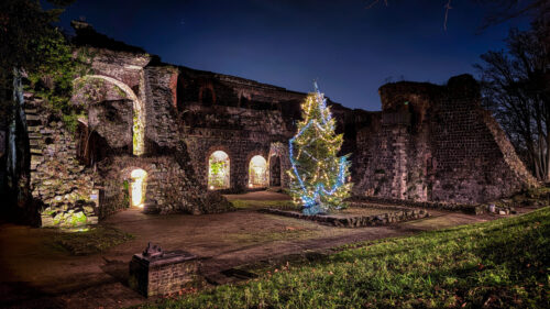 Veröffentlicht bei: Mein Kaiserswerth